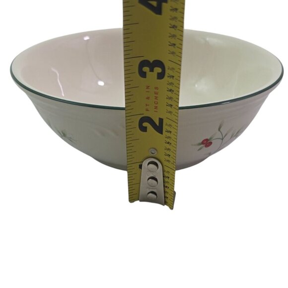 Pfaltzgraff Winterberry 5.8” Stoneware Cereal Soup Salad Bowls – Set of 4 - Picture 12 of 16